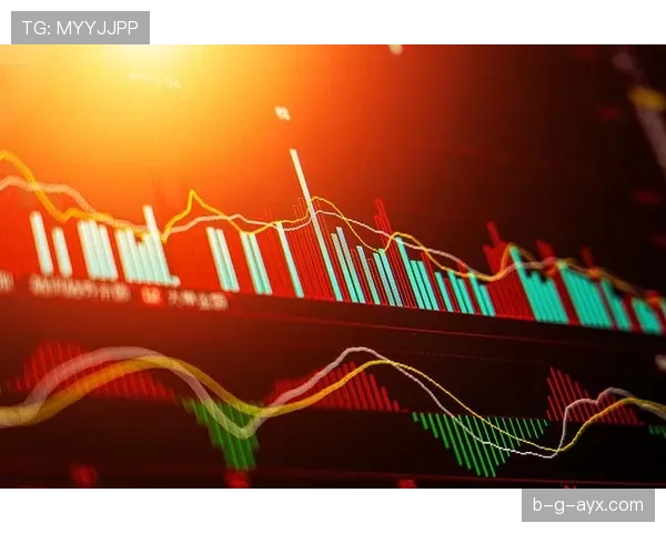 维特斯反击高效状态回暖，胜利之路重现曙光