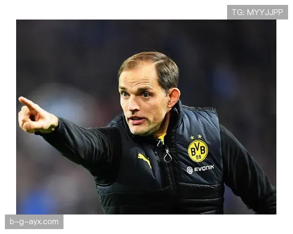 图赫尔德甲经验 图赫尔德甲经验